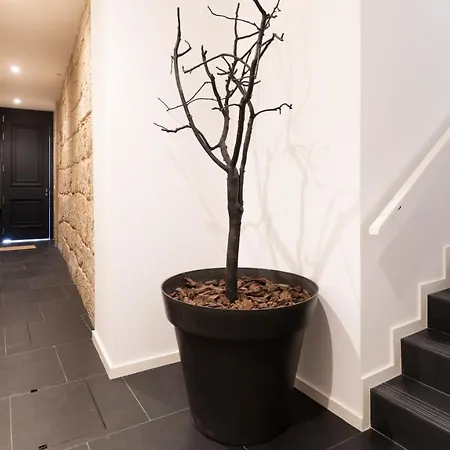 Luxury Oasis In Bonfim By Lovelystay Apartment Porto