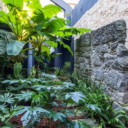 Luxury Oasis In Bonfim By Lovelystay Apartment Porto